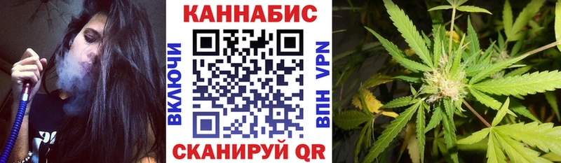 Конопля семена  где найти наркотики  Теберда 